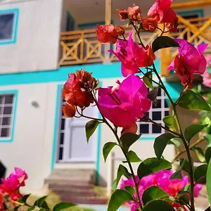 Bed & Breakfast Colorful Garden House, Providencia (Narino)